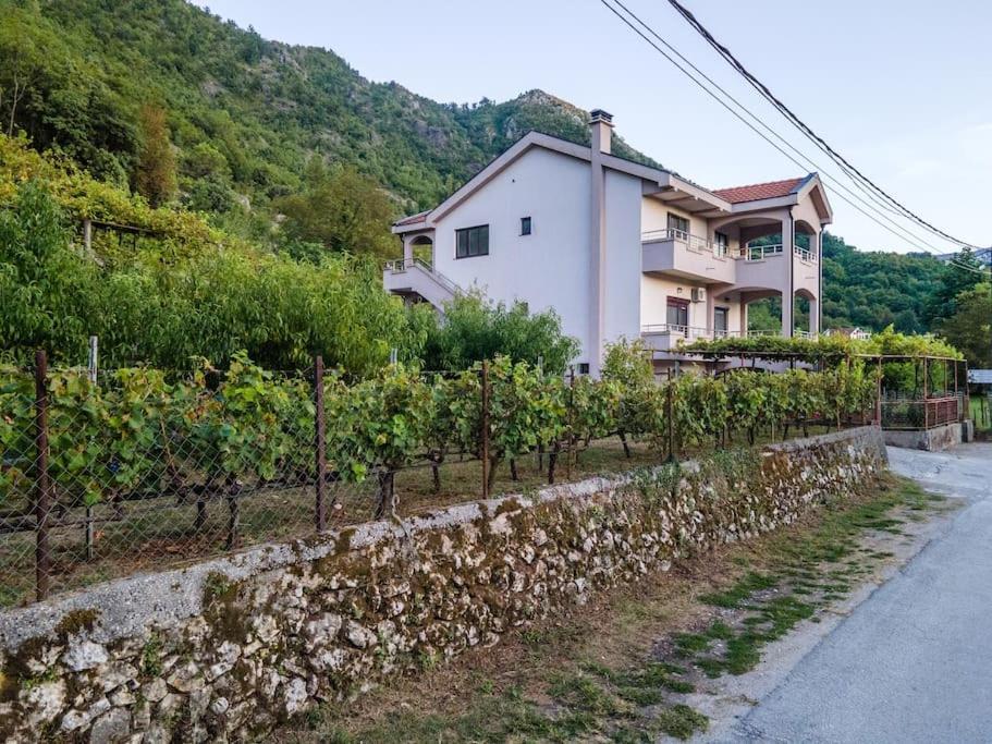 Pavle'S Oasis Villa Virpazar Ngoại thất bức ảnh